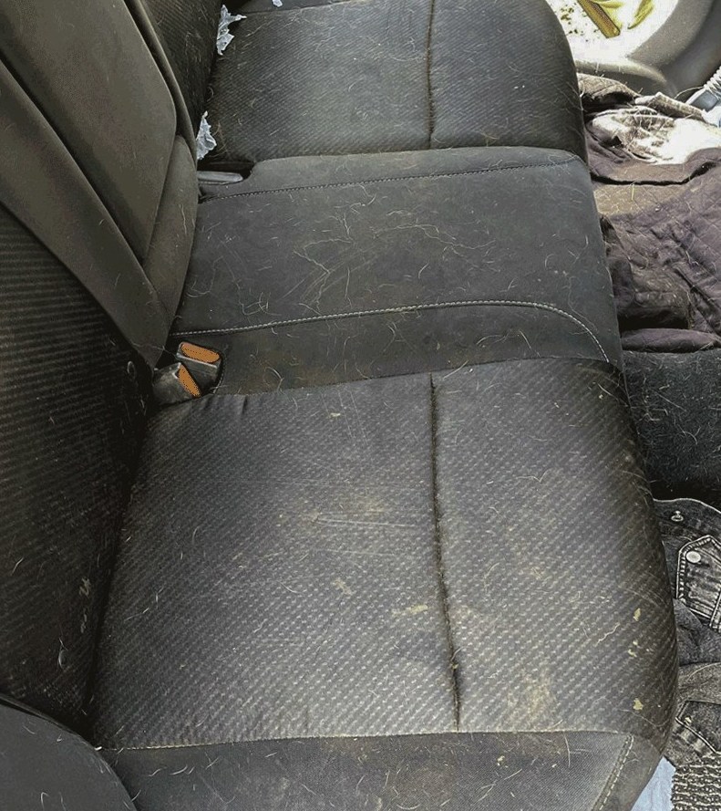 Rear bench after upholstery cleaning